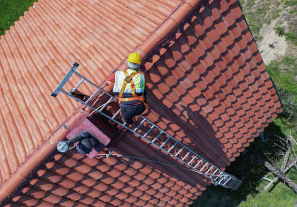 Best Roof Maintenance and Cleaning  in Pharr, TX