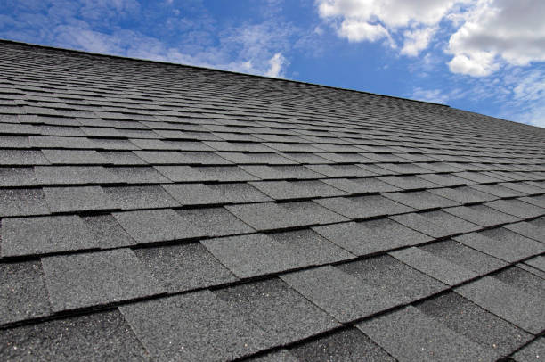 Best Asphalt Shingle Roofing  in Pharr, TX